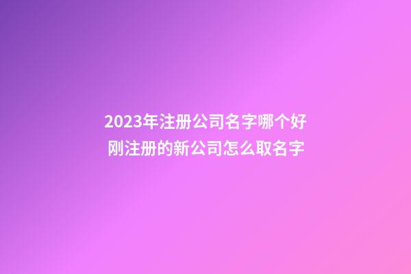 2023年注册公司名字哪个好 刚注册的新公司怎么取名字